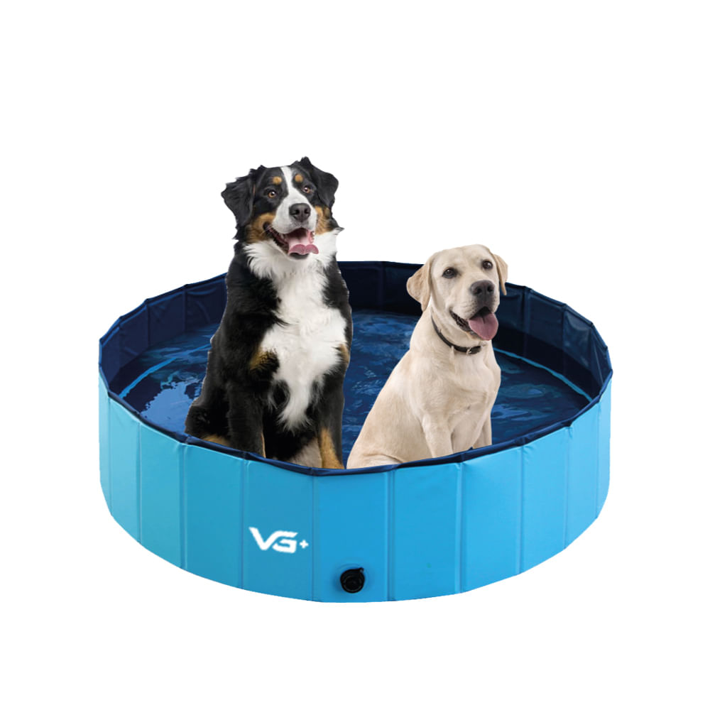 Piscina Para Pets Animais De Estimação Azul 160 Cm X 30 Cm Vg+
