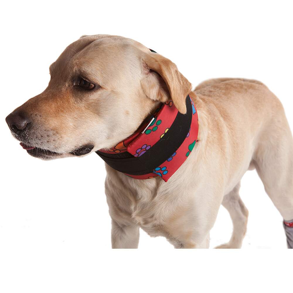 Colar Cervical Pet Med Color para Cães - Tamanho 1